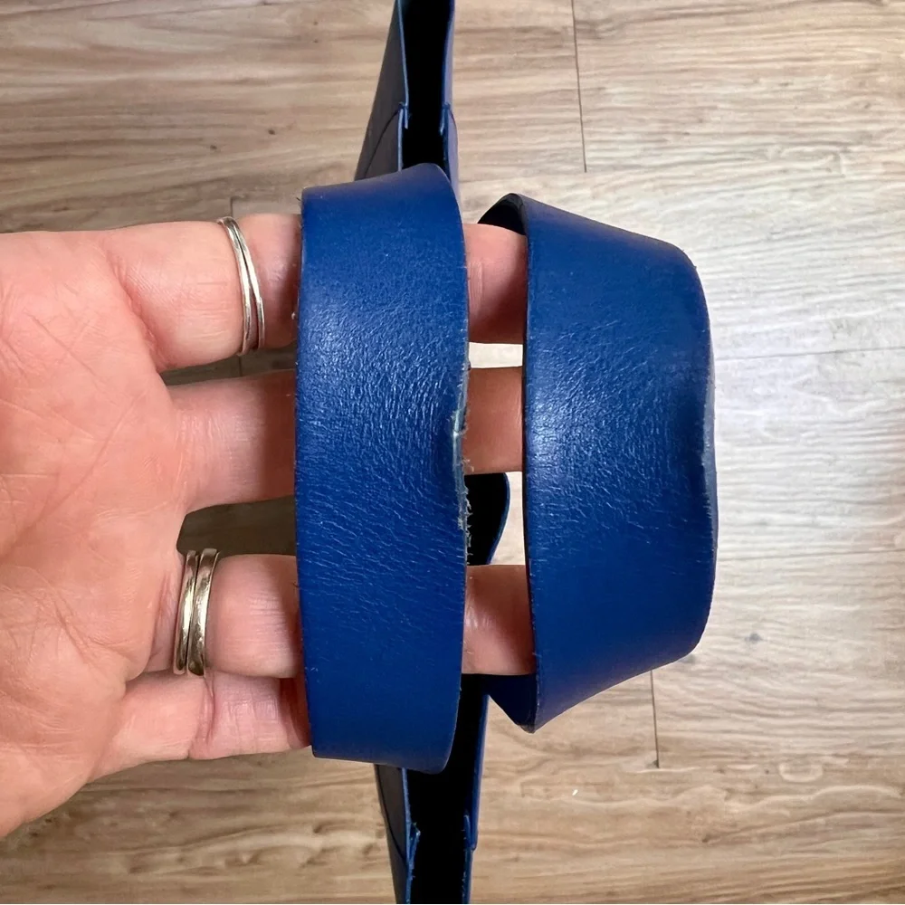 Everlane Blue Leather Tote Bag